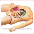 ISO Advanced Obstetrics Skills Training system for Nursing Training Simulator